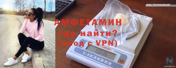прущая мука Гусев