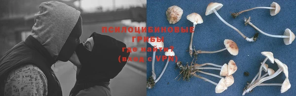 mdma Горняк