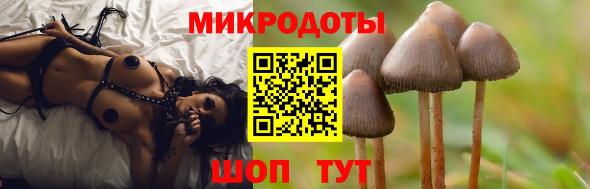 Дивногорск  Галлюциногенные грибы GOLDEN TEACHER  Вход с VPN 
